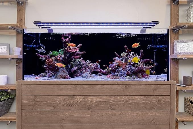 CURRENT USA 24-36" Inch Orbit Marine LED Saltwater Reef Marine Aquarium Light | 24 Hour IR Lighting & eFlux Wave Pump Control | Adjustable Color Spectrum for Fish Tank (4101)