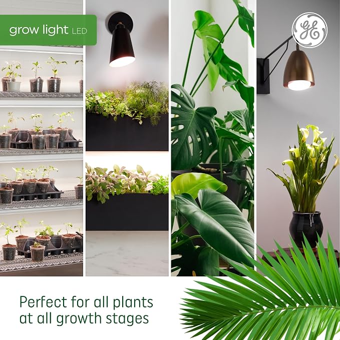 GE Grow Lights for Indoor Plants, A19 LED Light Bulbs for Seeds and Greens with Balanced Light Spectrum, White Indoor Plant Light, 25,000 Hours Lifespan, 16 PPF, 4 Pack (Packaging May Vary)