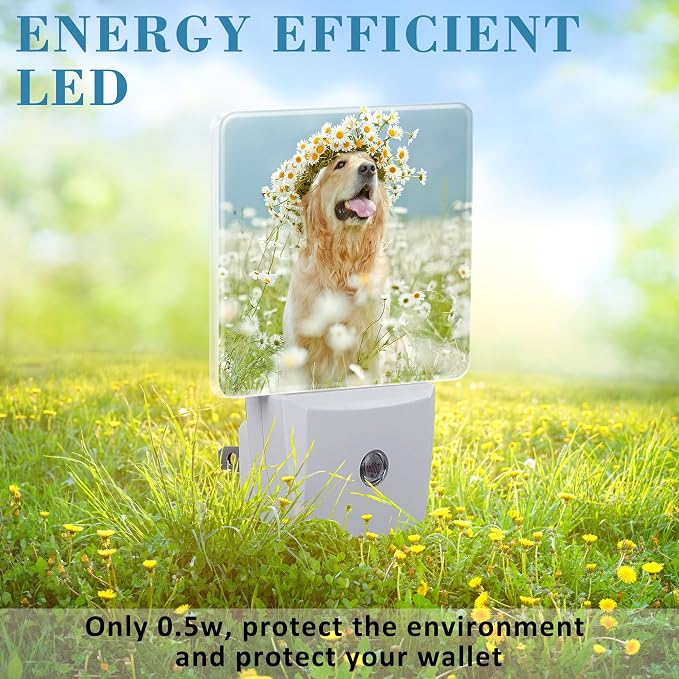 Plug in Night Lights Golden Retriever with Daisy Wreath Night Light with Dusk to Dawn Sensor Night Light for Kid Girls Boys Women Men Room Decor, Hallway, Kitchen, Bathroom, Nursery, Stairs