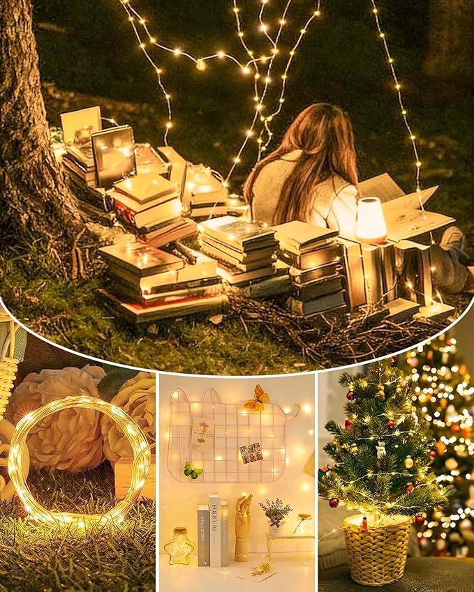 2 Pack 100LED Christmas Battery Operated Fairy Lights with Remote, 8 Modes String Lights with Timer, Dimmable, Memory Function, Waterproof Twinkle Lights for Outdoor Indoor Christmas Decor(Warm White)