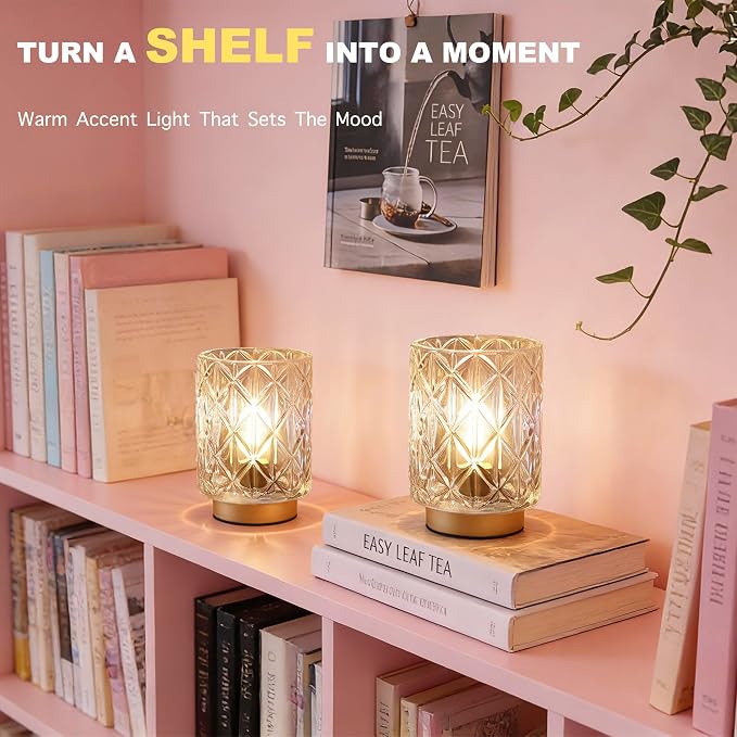 2 Pack Battery Operated Lamp,Cordless Samll Battery powered Accent Lamp with Timer for Bedside,Warm White Cozy Ambient Decorative Table Lamps for Shelf/Cubicle/Entryway/Table Decor(Iridescent Clear)