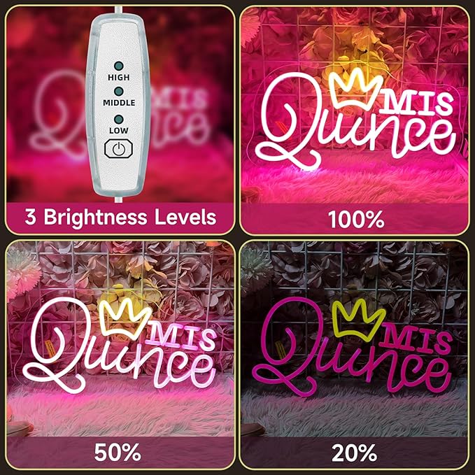 Mis Quince Neon Sign for Wall Decor, Dimmable LED Sign Neon Lights for Bedroom Quinceanera Christmas Birthday Party Room Decoration Gift for Girl Kid lover 15.7 * 9 Inch