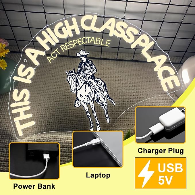 This Is A High Class Place Neon Sign, Western Riding Cowboy Neon Light, USB Powered LED Neon Light, Elegant Wall Decor, Bar Sign, Restaurant Decor for Man Cave Farm Party Birthday Gifts(16.5 * 11.8in)