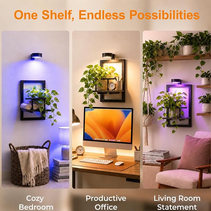 2 Pack Plant Wall Shelf with Grow Light, Wall Mounted Indoor Plant Shelf | Rechargeable Cordless Magnetic Grow Light with Remote Timer Dimming, Floating Plant Shelf for Living Room Office Decor