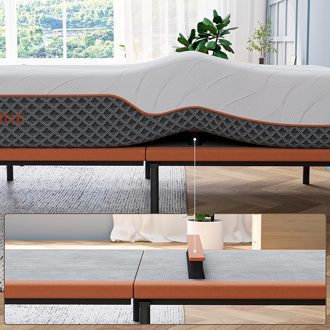ESHINE Queen Adjustable Bed Frame with Lumbar Support Smart App | Bed Base, Head-Pillow-Tillt, Under Bed Light, Dual USB, Zero Gravity, Ergonomic Incline, Wireless Remote, 6000 Series