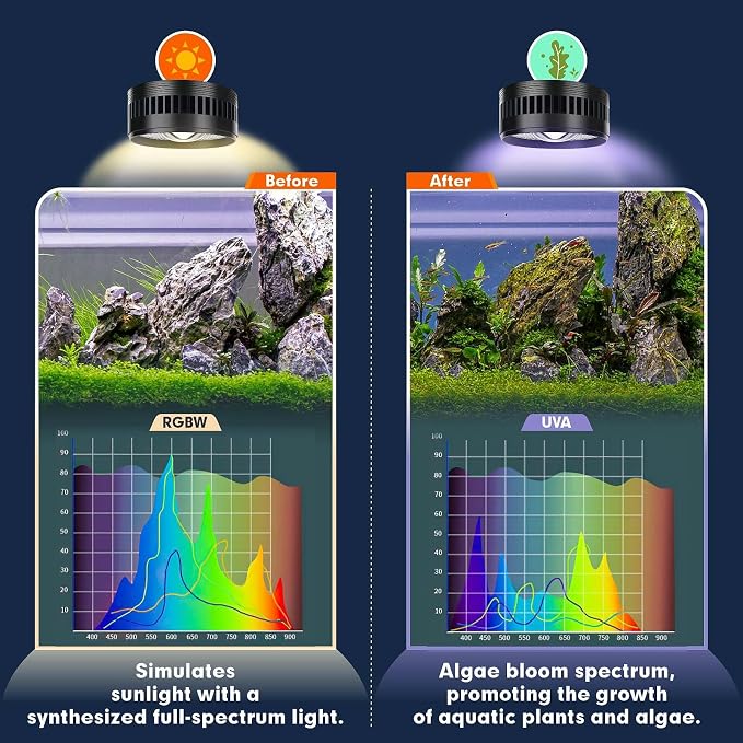 AQQA Clip-On Aquarium Light, Full Spectrum LED Fish Tank Stream Light | with 3 Modes (White/RGB/Full Spectrum), Timer & 6 Brightness Levels, Adjustable Clamp for Freshwater Plants Fish Tanks