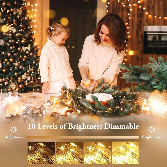 2 Pack 33FT 100 LED Fairy Lights Battery Operated with Timer & Remote, Waterproof Twinkle Lights Indoor Outdoor, 8 Modes Fairy String Lights for Bedroom Classroom DIY Wedding Decorations,Warm White