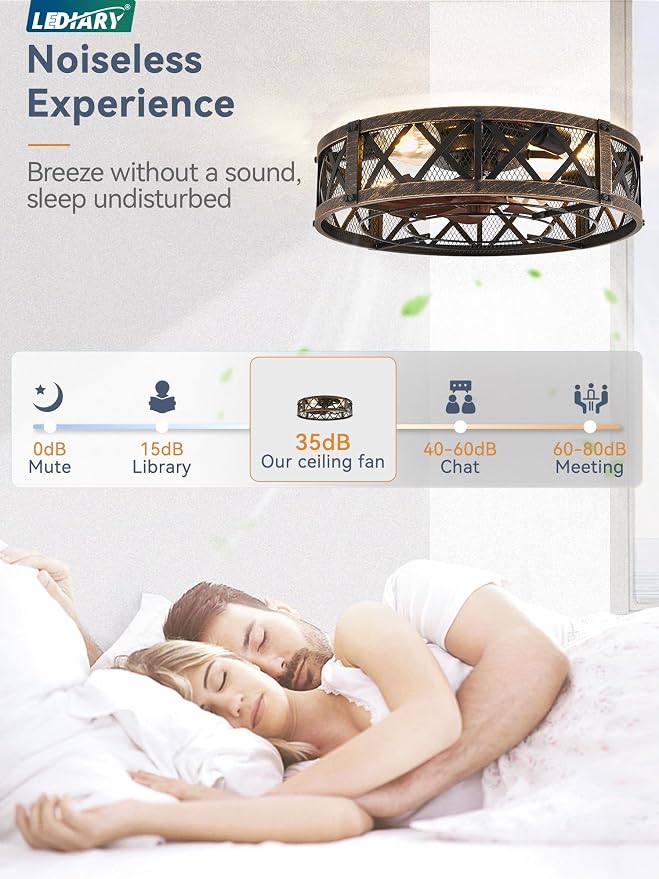 LEDIARY 20" Caged Farmhouse Ceiling Fan with Light, Flush Mount, Black Gold | Remote&APP Control, Small Low Profile, Rustic Fandaliers, Industrial Bladeless Enclosed, Powerful Motor for Bedroom, Kitchen