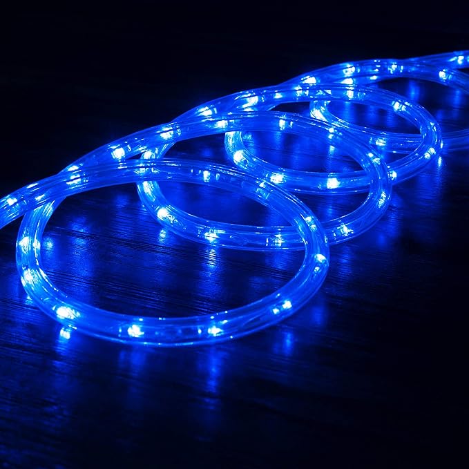 WYZworks 288LEDs, 25ft LED Outside Rope Lights, Waterproof Permanent Outdoor ETL Certified Connectable Clear Tube, Christmas Palm Tree Holiday Decorative Landscape Patio Accent Lighting - Blue