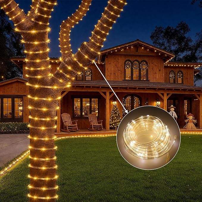 100ft LED Rope Light with Remote 8 Modes Strip Lights with Timer & Memory 5.5mm Large Diameter Twinkle Lights for Wedding Garden Christmas Halloween Bedroom Patio Decorations (30M, Warm White)