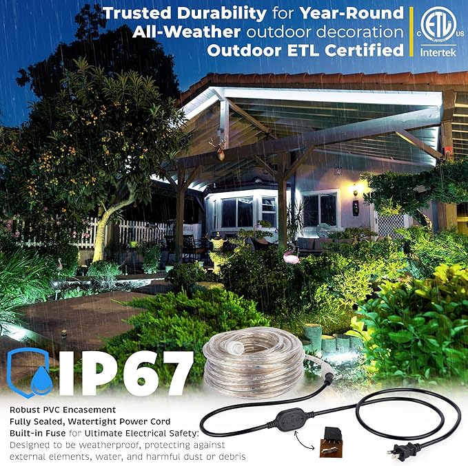 WYZworks 1116LEDs, 100ft LED Outside Rope Lights, Waterproof Permanent Outdoor ETL Certified Connectable Clear Tube, Christmas Palm Tree Holiday Decorative Landscape Patio Accent Lighting - Cool White