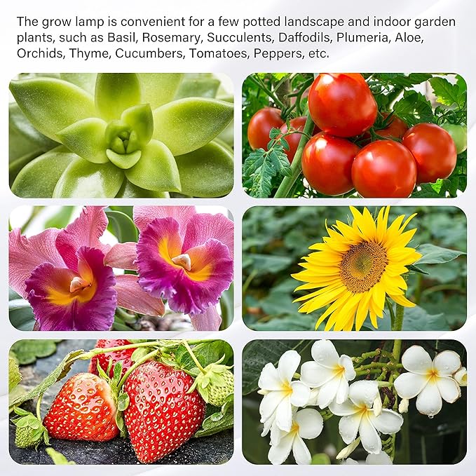 iPower 2Pack 40W LED Grow Lights with Full Spectrum Plant Growing Light Strips for Indoor Plant with Auto ON/Off 3/9/12H Timer, 10 Dimmable Levels 48 LEDs Per Tude, 3 Tubes, Red&Blue