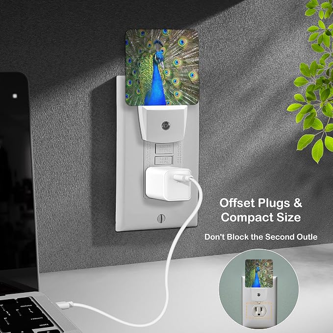 LED Night Light Lamp with Smart Sensor Dusk to Dawn Sensor,Australian Peacock Night Light Daylight White,0.5W Plug-into Wall for Adults,Bedroom,Bathroom,Hallway,Kitchen