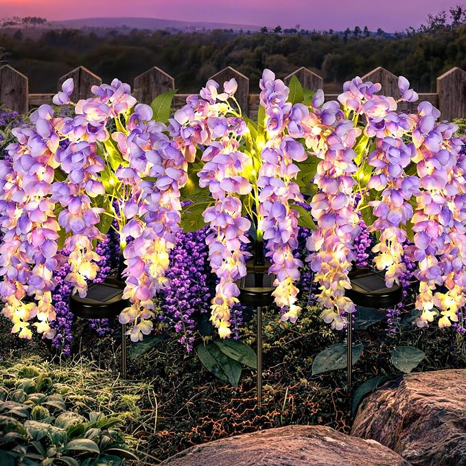 GIGALUMI 3 Pack Solar Wisteria Flowers Outdoor, 2 Modes, Purple | Flower Lights, IP65 Waterproof, Auto On/Off, Solar Powered, Garden Decor, for Pathway, Yard, Patio, Gardening Gifts for Women
