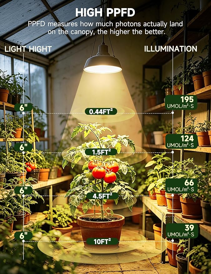 GU10 Grow Light Bulb:6W LED Natural White 4000K 3 Pack | Full Spectrum Plant Grow Lights, Plant Light for Indoor Plants, Grow Lamp for Low Light Plants, Small Plant Pots