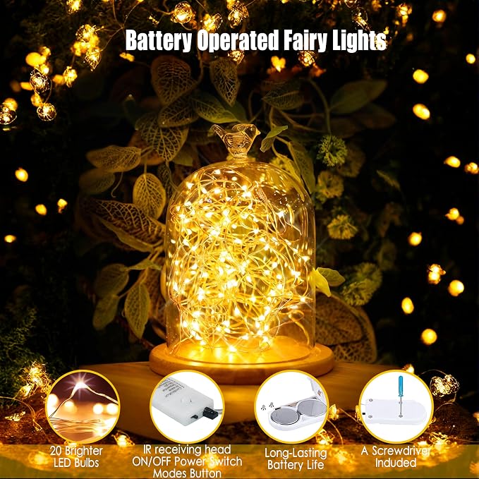 6 Pack Fairy Lights Battery Operated With Timer,2 Remotes,20 LED Warm White | 6.5ft Twinkle Lights,Waterproof Silver Wire Firefly Lights DIY Mason Jar Wedding Party Christmas Centerpiece Table Deco