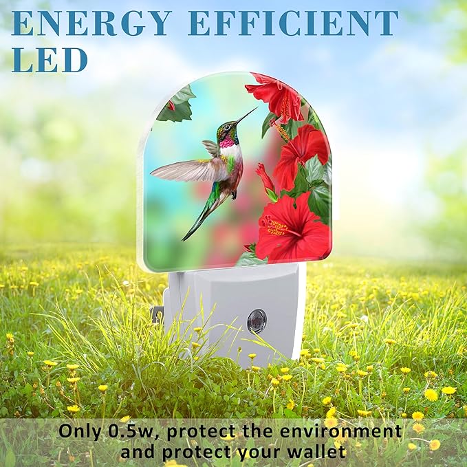 Hummingbird on Lossoming Red Flower Night Light Plug into Wall with Dusk to Dawn Sensor Cute Nightlight for Kid Girls Boys Women Men Room Decor, Hallway, Kitchen, Bathroom, Nursery, Stairs