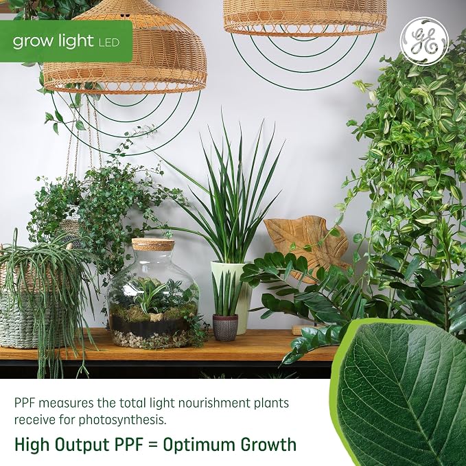 GE Grow Lights for Indoor Plants, A19 LED Light Bulbs for Seeds and Greens with Balanced Light Spectrum, White Indoor Plant Light, 25,000 Hours Lifespan, 16 PPF, 4 Pack (Packaging May Vary)