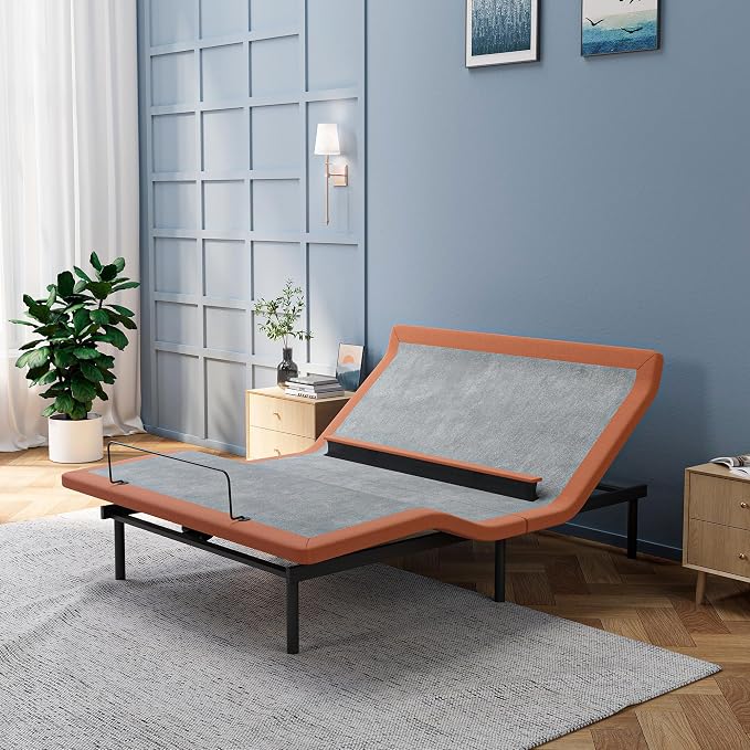 ESHINE Queen Adjustable Bed Frame with Lumbar Support Smart App | Bed Base, Head-Pillow-Tillt, Under Bed Light, Dual USB, Zero Gravity, Ergonomic Incline, Wireless Remote, 6000 Series