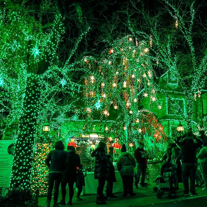 Dazzle Bright Fairy Lights Battery Operated, 2 Pack Total 40FT 120LED Silver Wire Waterproof String Lights, Christmas St. Patrick's Day Decorations for Indoor Outdoor Bedroom Yard Decor, Green